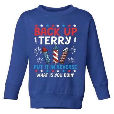 Back Up Terry Put It In Reverse July 4th Of July Fireworks Toddler Sweatshirt