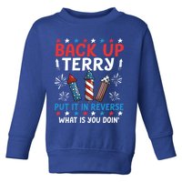 Back Up Terry Put It In Reverse July 4th Of July Fireworks Toddler Sweatshirt