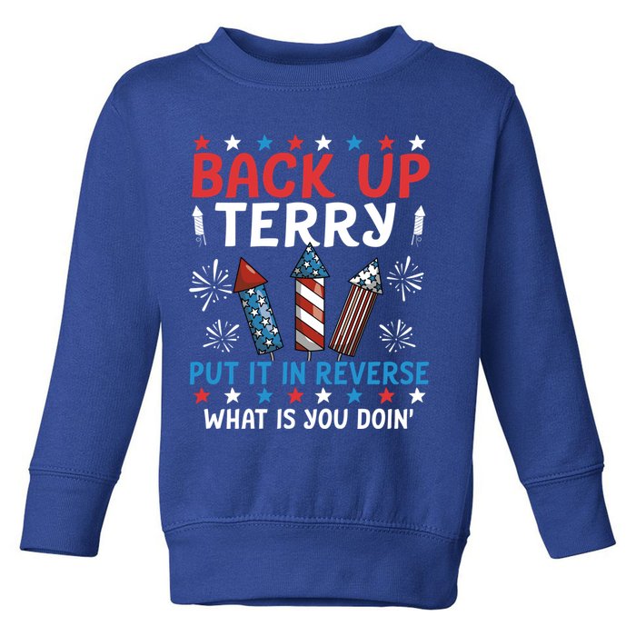 Back Up Terry Put It In Reverse July 4th Of July Fireworks Toddler Sweatshirt