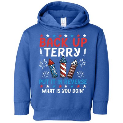 Back Up Terry Put It In Reverse July 4th Of July Fireworks Toddler Hoodie