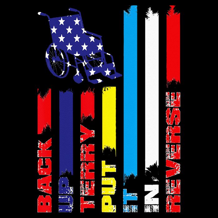 Back Up Terry Put It In Reverse Firework flag 4th Of July Flatbill Hat