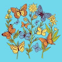 Butterfly Garden Flowers Womens T-Shirt