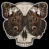 Butterfly Skull Moth Performance Shirt