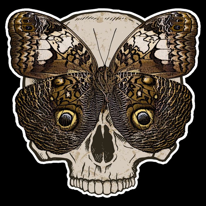 Butterfly Skull Moth Performance Shirt