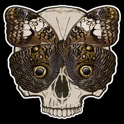 Butterfly Skull Moth T-Shirt