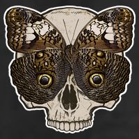 Butterfly Skull Moth Adult Drive Performance Visor
