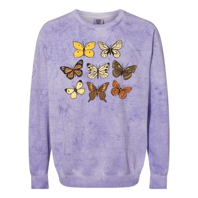 Butterfly Species Colorblast Crewneck Sweatshirt