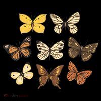Butterfly Species Premium T-Shirt