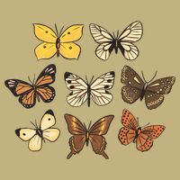 Butterfly Species Cooling Performance Crew T-Shirt