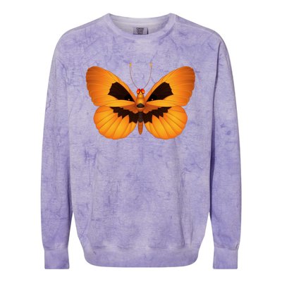 Butterfly With Face Halloween Pumpkin Colorblast Crewneck Sweatshirt