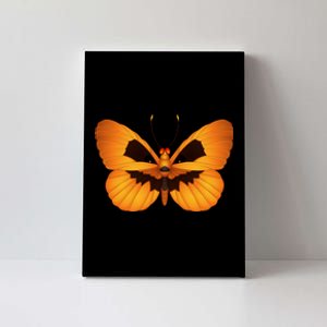 Butterfly With Face Halloween Pumpkin Canvas