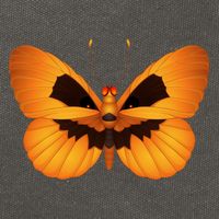 Butterfly With Face Halloween Pumpkin Cotton Canvas Backpack