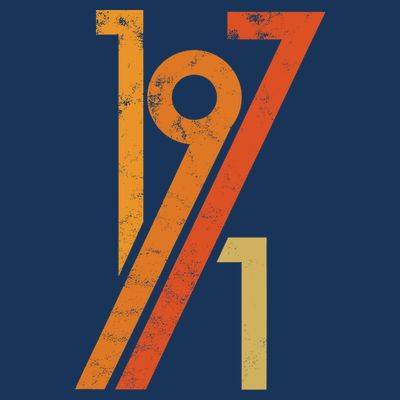 Birthday Vintage 70s Style 1971 T-Shirt