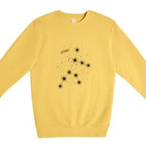 Best Virgo Constellation Funny Gift Premium Crewneck Sweatshirt