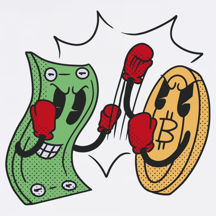 Bitcoin Vs Money Boxing Fight USA-Made Doggie Bandana