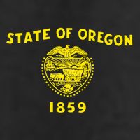 Blue Vintage Oregon Flag Gift Retro State Gift Usa Gift Beanie