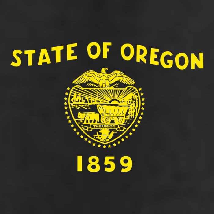 Blue Vintage Oregon Flag Gift Retro State Gift Usa Gift Beanie