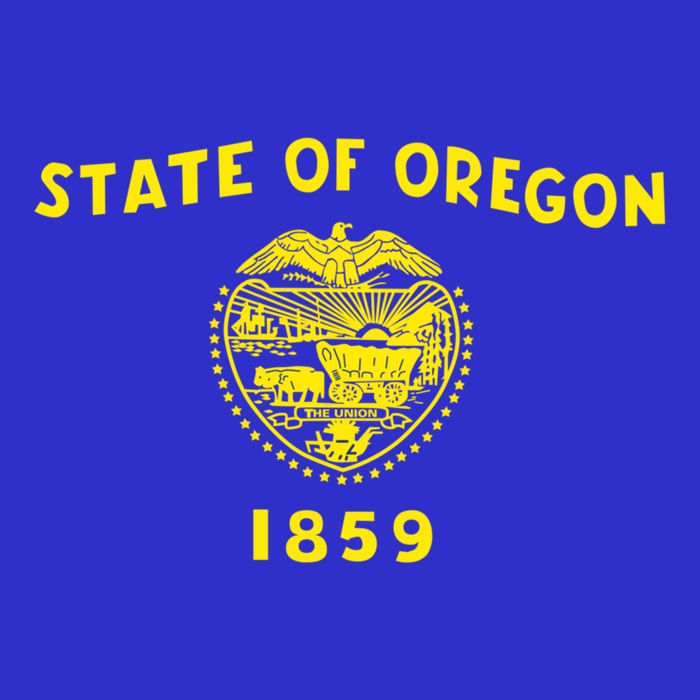 Blue Vintage Oregon Flag Gift Retro State Gift Usa Gift Kids T-Shirt