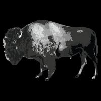 Buffalo Vintage Retro American Bison Backpack