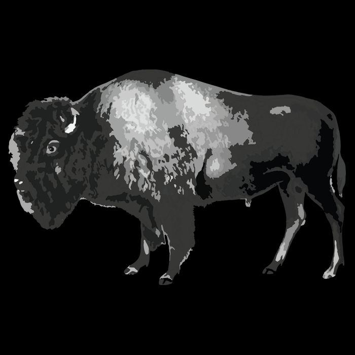 Buffalo Vintage Retro American Bison Backpack