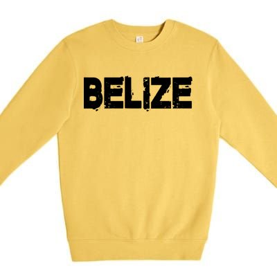 Belize Vintage Style Gift Family Vacation Gift Premium Crewneck Sweatshirt