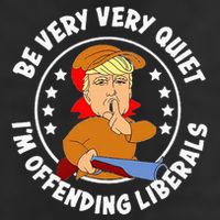Be Very Very Quiet IM Offending Liberals Adult Drive Performance Visor
