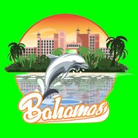 Bahamas With A Playing Dolphin And Hotels Bag