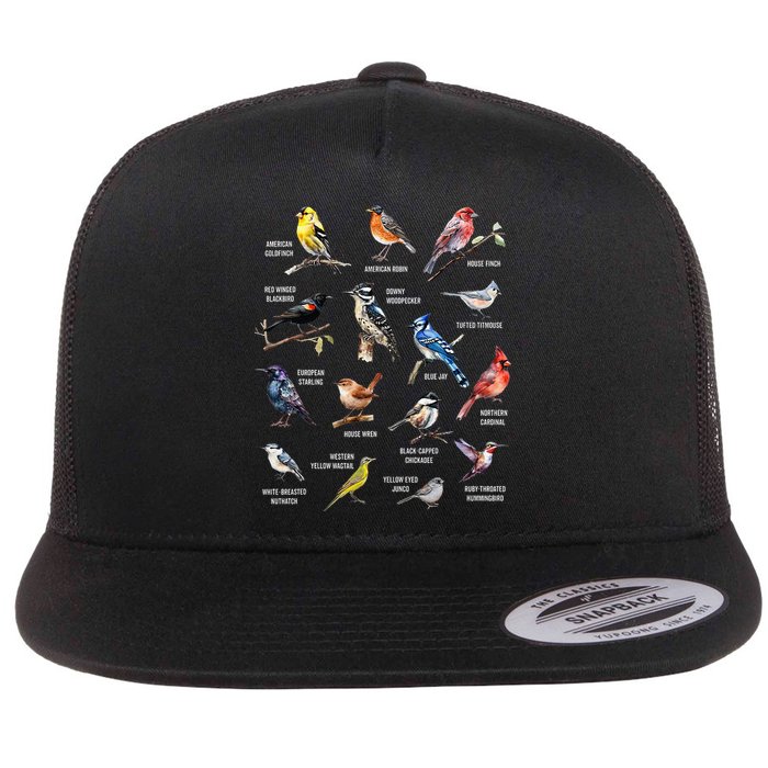 Bird Watching Bird Watcher Bird Lover Birder Birding Nerd Flat Bill Trucker Hat