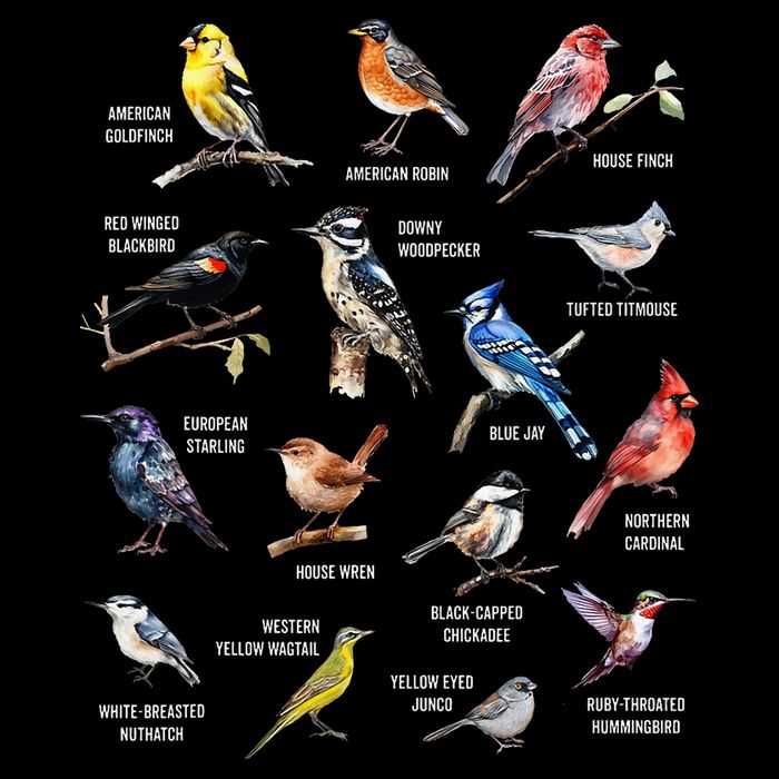 Bird Watching Bird Watcher Bird Lover Birder Birding Nerd Flat Bill Trucker Hat