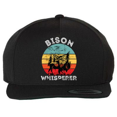 Bison Whisperer Buffalo Cattle Vintage Retro Sunset Colorado Wool Snapback Cap