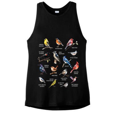Bird Watching Bird Watcher Bird Lover Birder Birding Nerd Ladies PosiCharge Tri-Blend Wicking Tank