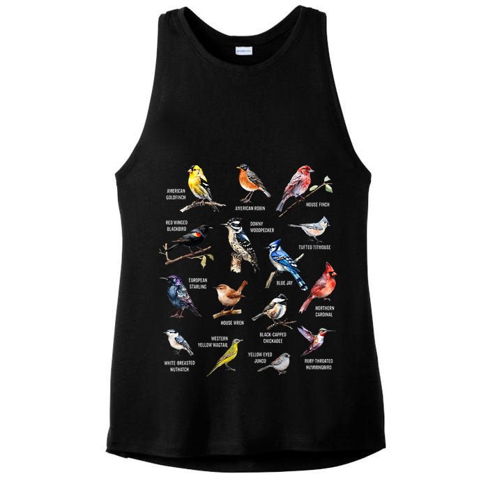 Bird Watching Bird Watcher Bird Lover Birder Birding Nerd Ladies PosiCharge Tri-Blend Wicking Tank
