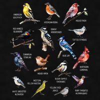 Bird Watching Bird Watcher Bird Lover Birder Birding Nerd Ladies PosiCharge Tri-Blend Wicking Tank