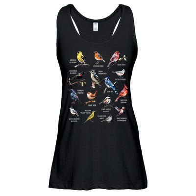 Bird Watching Bird Watcher Bird Lover Birder Birding Nerd Ladies Essential Flowy Tank