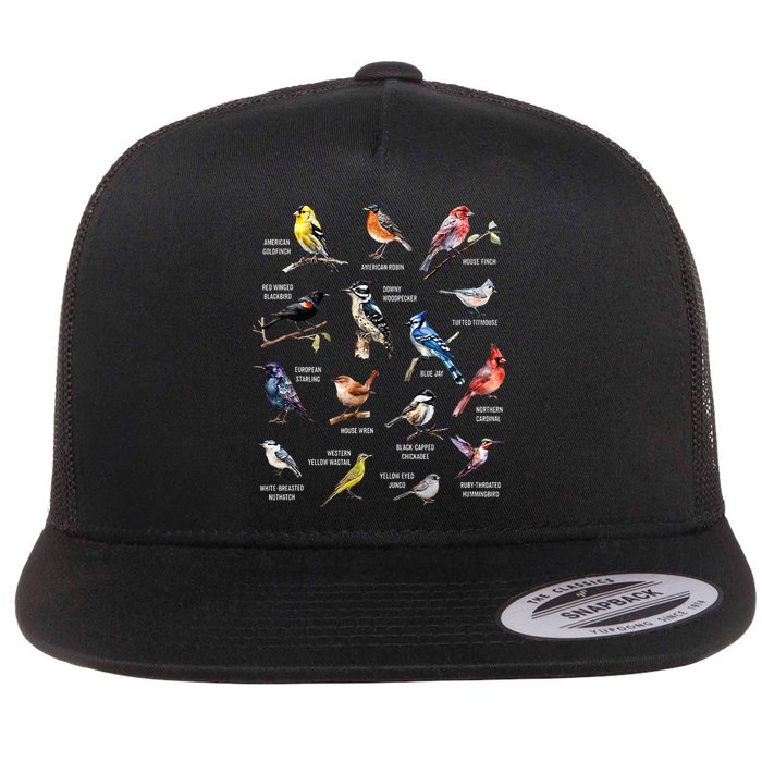 Bird Watching Bird Watcher Bird Lover Birder Birding Nerd Flatbill Hat
