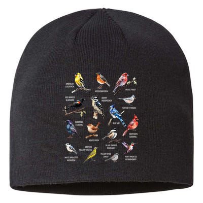 Bird Watching Bird Watcher Bird Lover Birder Birding Nerd Sustainable Beanie