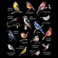 Bird Watching Bird Watcher Bird Lover Birder Birding Nerd 16 in Basic Backpack
