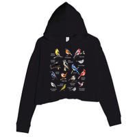 Bird Watching Bird Watcher Bird Lover Birder Birding Nerd Crop Fleece Hoodie