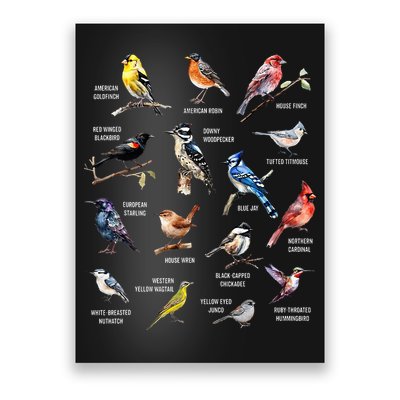 Bird Watching Bird Watcher Bird Lover Birder Birding Nerd Poster