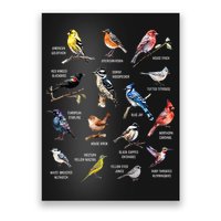 Bird Watching Bird Watcher Bird Lover Birder Birding Nerd Poster