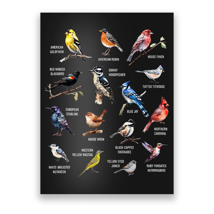 Bird Watching Bird Watcher Bird Lover Birder Birding Nerd Poster