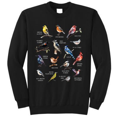 Bird Watching Bird Watcher Bird Lover Birder Birding Nerd Tall Sweatshirt