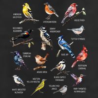 Bird Watching Bird Watcher Bird Lover Birder Birding Nerd 25L Jumbo Tote