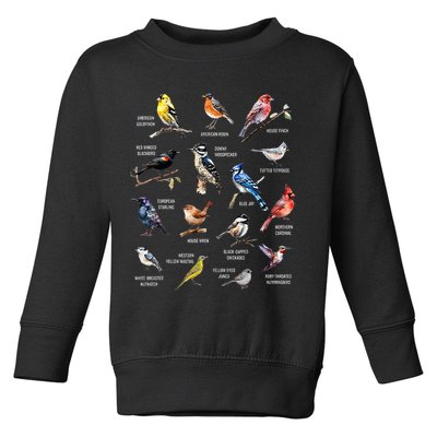 Bird Watching Bird Watcher Bird Lover Birder Birding Nerd Toddler Sweatshirt