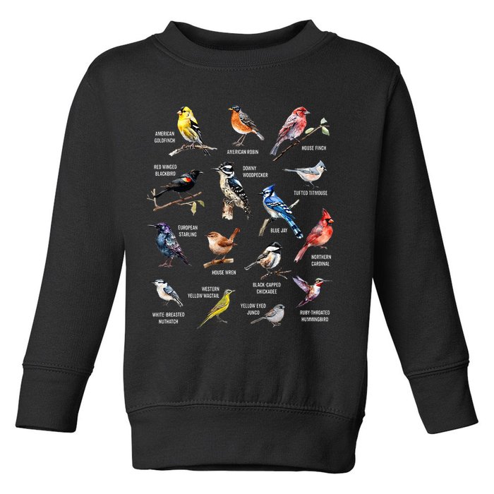 Bird Watching Bird Watcher Bird Lover Birder Birding Nerd Toddler Sweatshirt