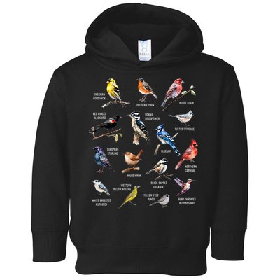 Bird Watching Bird Watcher Bird Lover Birder Birding Nerd Toddler Hoodie