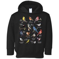 Bird Watching Bird Watcher Bird Lover Birder Birding Nerd Toddler Hoodie