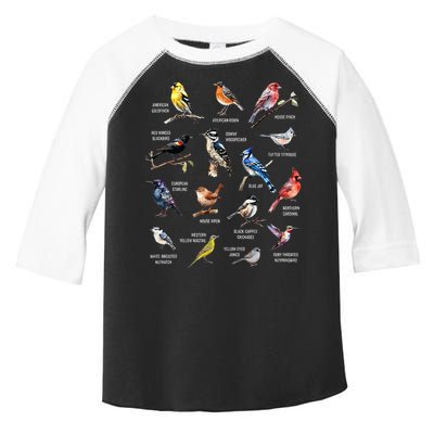 Bird Watching Bird Watcher Bird Lover Birder Birding Nerd Toddler Fine Jersey T-Shirt