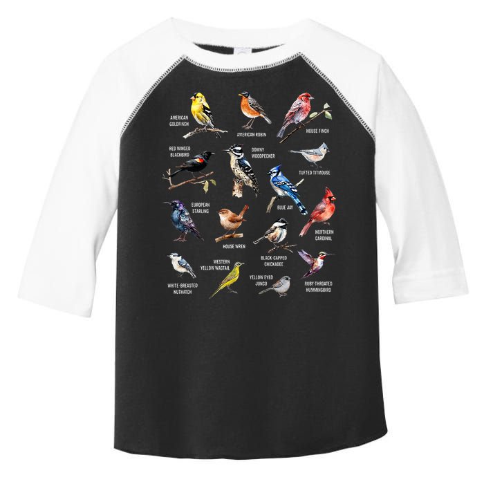 Bird Watching Bird Watcher Bird Lover Birder Birding Nerd Toddler Fine Jersey T-Shirt