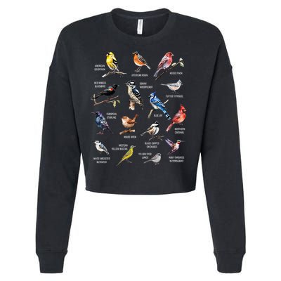 Bird Watching Bird Watcher Bird Lover Birder Birding Nerd Cropped Pullover Crew